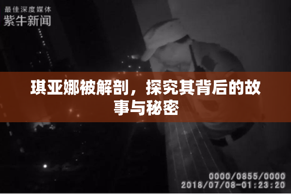 琪亚娜被解剖，探究其背后的故事与秘密