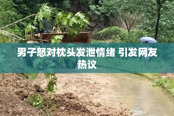 男子怒对枕头发泄情绪 引发网友热议