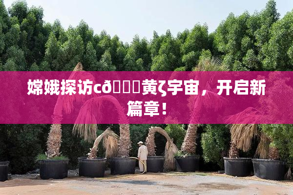 嫦娥探访c🔞黄ζ宇宙，开启新篇章！