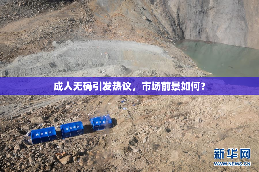 成人无码引发热议，市场前景如何？