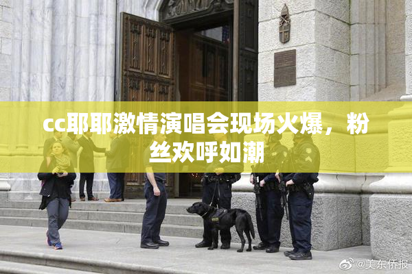 cc耶耶激情演唱会现场火爆，粉丝欢呼如潮