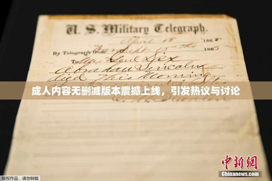 成人内容无删减版本震撼上线，引发热议与讨论
