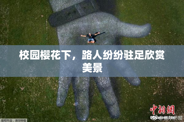 校园樱花下，路人纷纷驻足欣赏美景