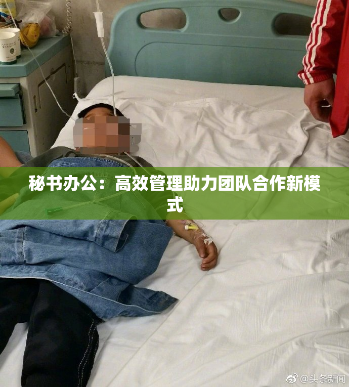 秘书办公：高效管理助力团队合作新模式