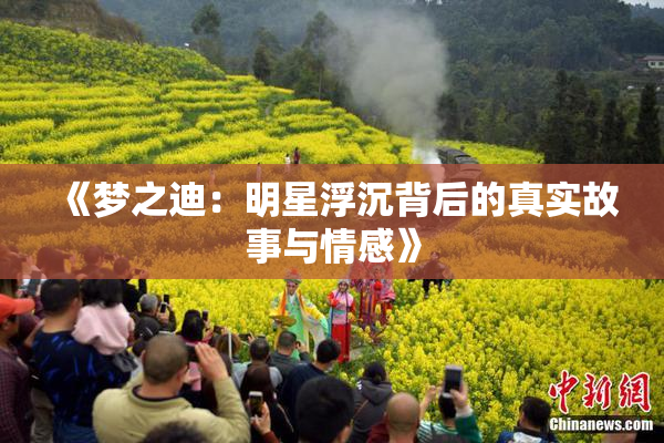 《梦之迪：明星浮沉背后的真实故事与情感》