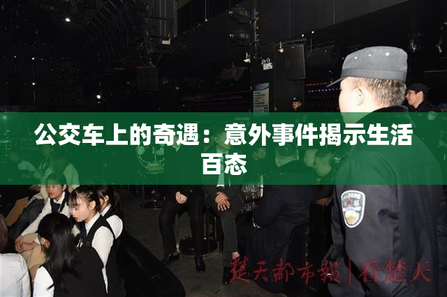 公交车上的奇遇：意外事件揭示生活百态