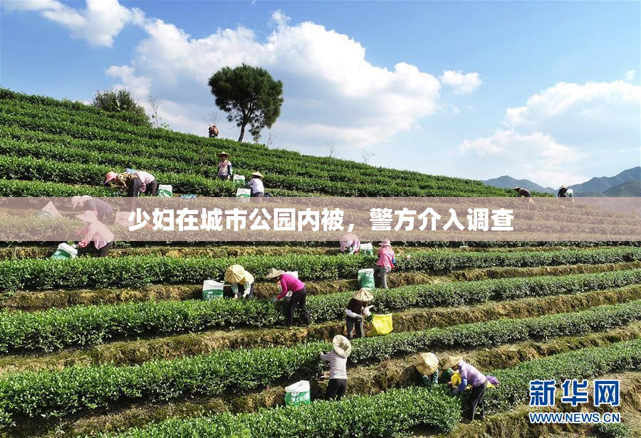 少妇在城市公园内被，警方介入调查