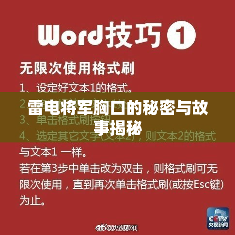 雷电将军胸口的秘密与故事揭秘