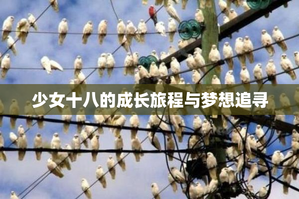 少女十八的成长旅程与梦想追寻