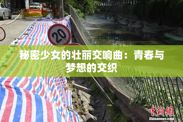 秘密少女的壮丽交响曲：青春与梦想的交织