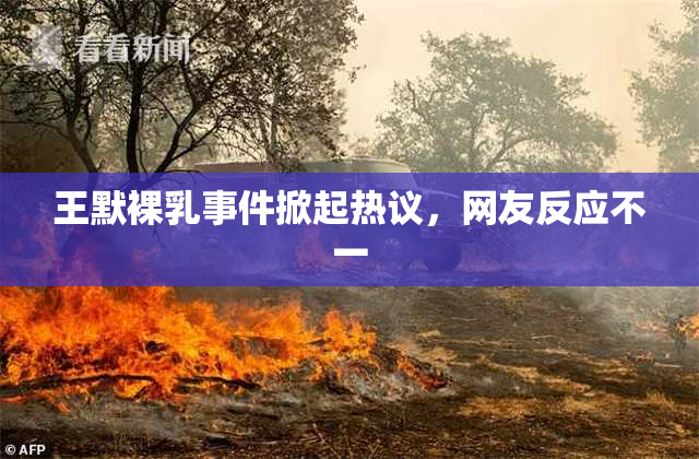 王默裸乳事件掀起热议，网友反应不一