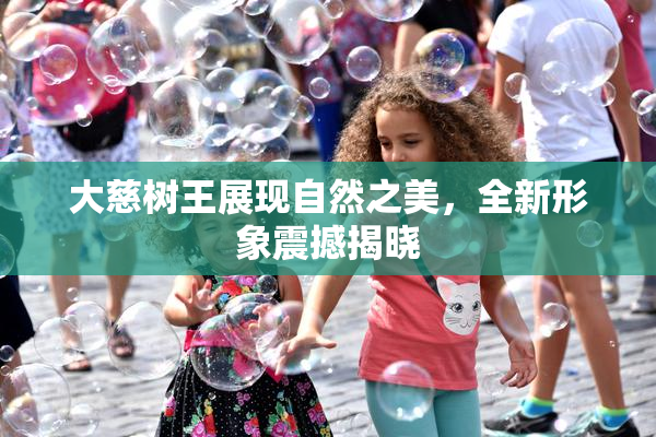大慈树王展现自然之美，全新形象震撼揭晓