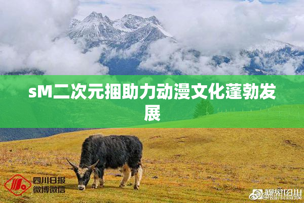 sM二次元捆助力动漫文化蓬勃发展