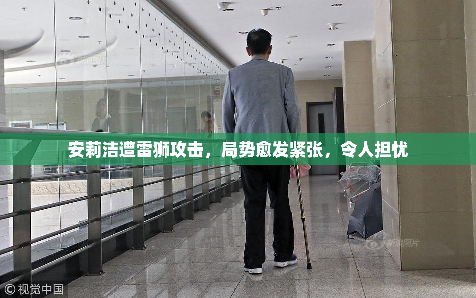 安莉洁遭雷狮攻击，局势愈发紧张，令人担忧