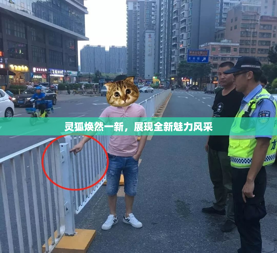 灵狐焕然一新，展现全新魅力风采