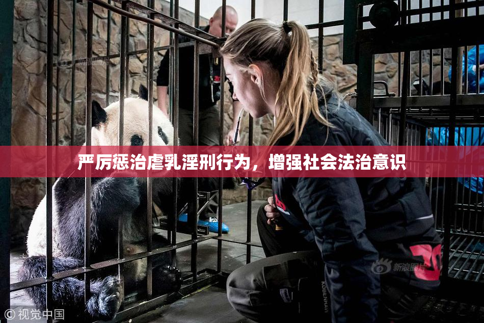 严厉惩治虐乳淫刑行为，增强社会法治意识