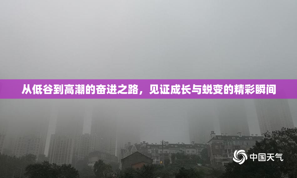 从低谷到高潮的奋进之路，见证成长与蜕变的精彩瞬间