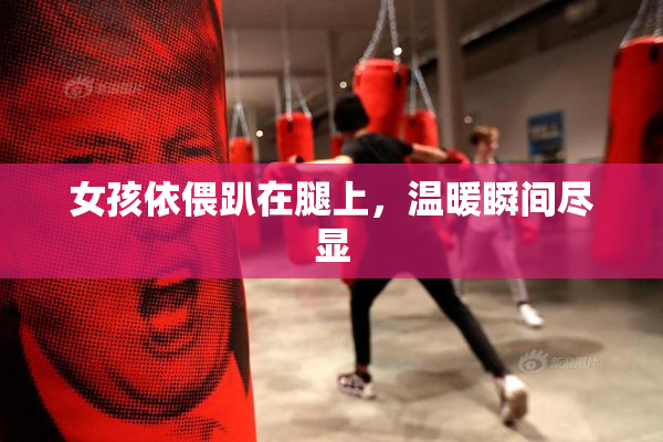 女孩依偎趴在腿上，温暖瞬间尽显