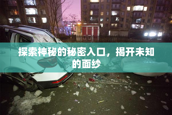 探索神秘的秘密入口，揭开未知的面纱