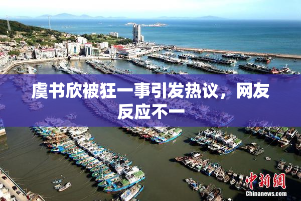 虞书欣被狂一事引发热议，网友反应不一