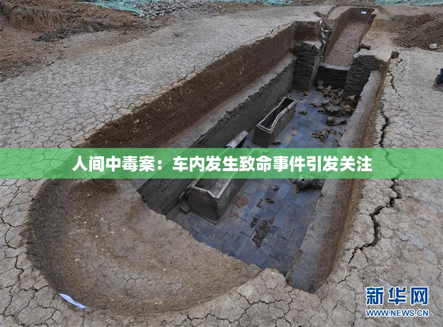 人间中毒案：车内发生致命事件引发关注