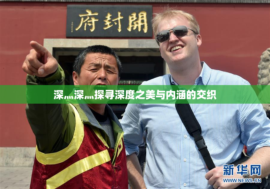 深灬深灬探寻深度之美与内涵的交织