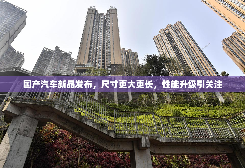 国产汽车新品发布，尺寸更大更长，性能升级引关注