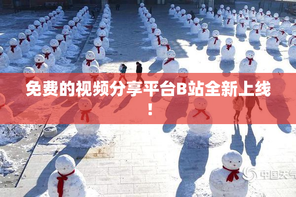 免费的视频分享平台B站全新上线！