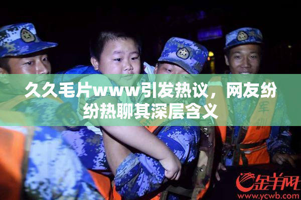 久久毛片www引发热议，网友纷纷热聊其深层含义