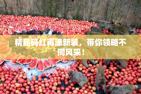 精品码红再添新装，带你领略不同风采！