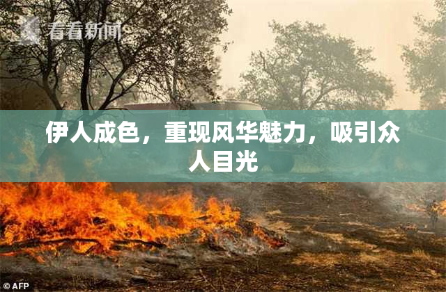 伊人成色，重现风华魅力，吸引众人目光