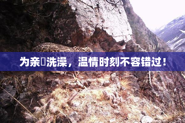 为亲妺洗澡，温情时刻不容错过！