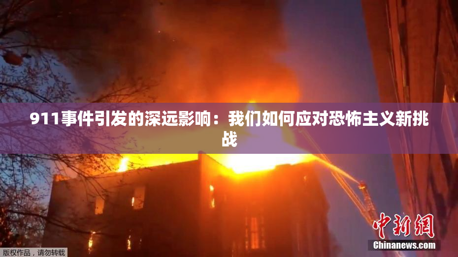 911事件引发的深远影响：我们如何应对恐怖主义新挑战