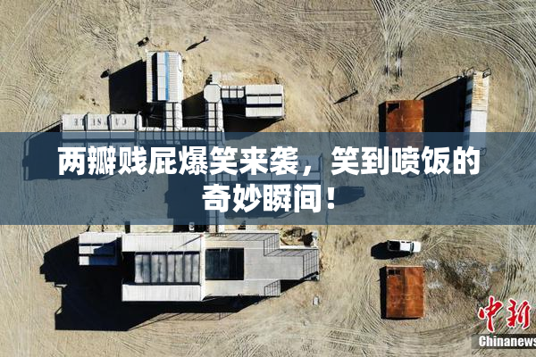 两瓣贱屁爆笑来袭，笑到喷饭的奇妙瞬间！