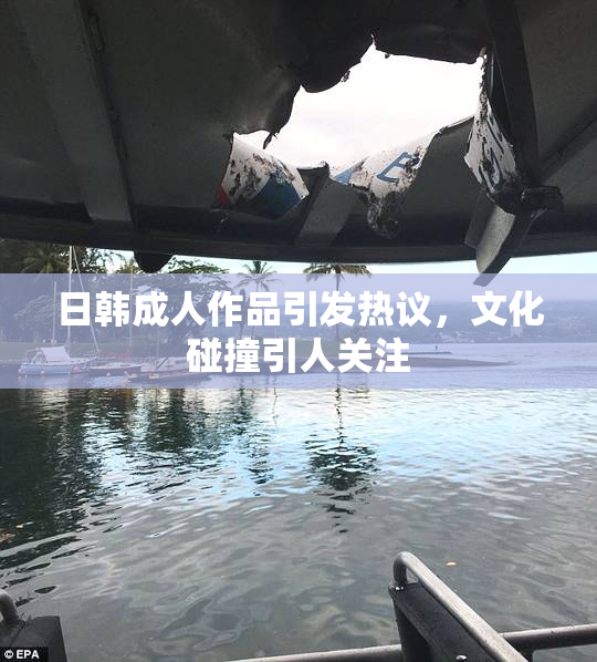 日韩成人作品引发热议，文化碰撞引人关注