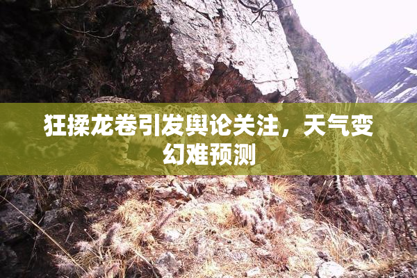狂揉龙卷引发舆论关注，天气变幻难预测