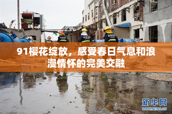 91樱花绽放，感受春日气息和浪漫情怀的完美交融