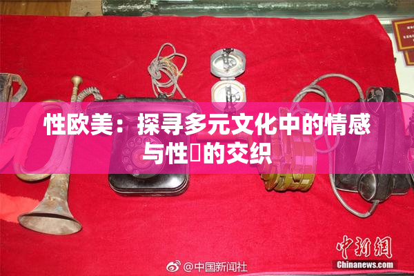 性欧美：探寻多元文化中的情感与性愛的交织