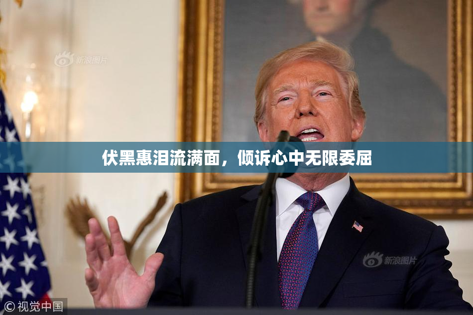伏黑惠泪流满面，倾诉心中无限委屈