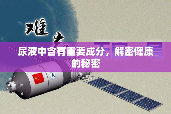 尿液中含有重要成分，解密健康的秘密