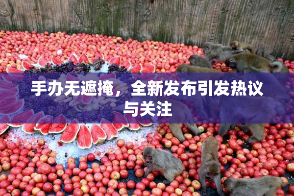 手办无遮掩，全新发布引发热议与关注