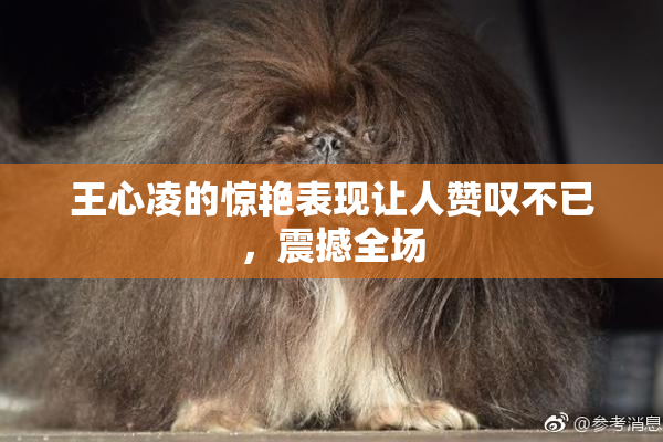王心凌的惊艳表现让人赞叹不已，震撼全场