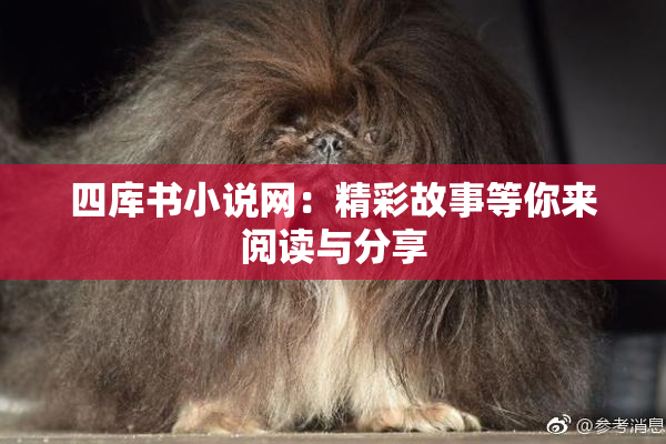 四库书小说网：精彩故事等你来阅读与分享