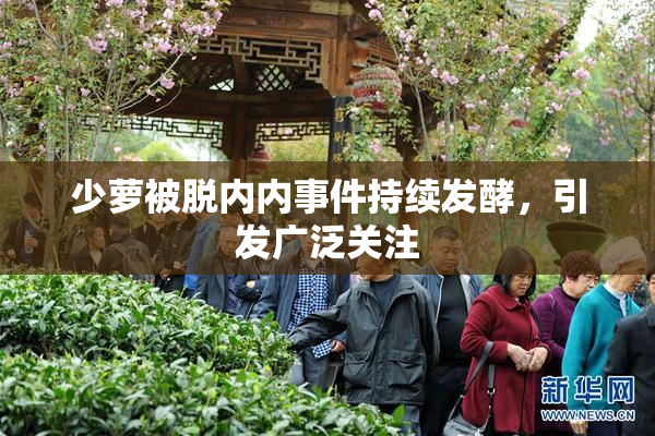 少萝被脱内内事件持续发酵，引发广泛关注