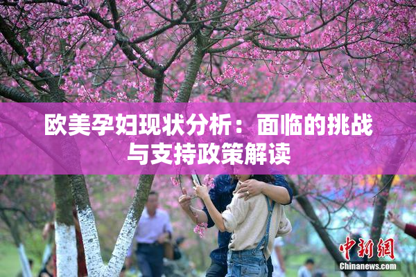 欧美孕妇现状分析：面临的挑战与支持政策解读