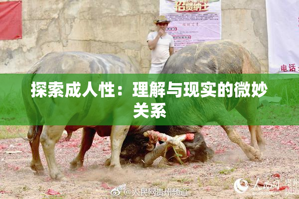 探索成人性：理解与现实的微妙关系