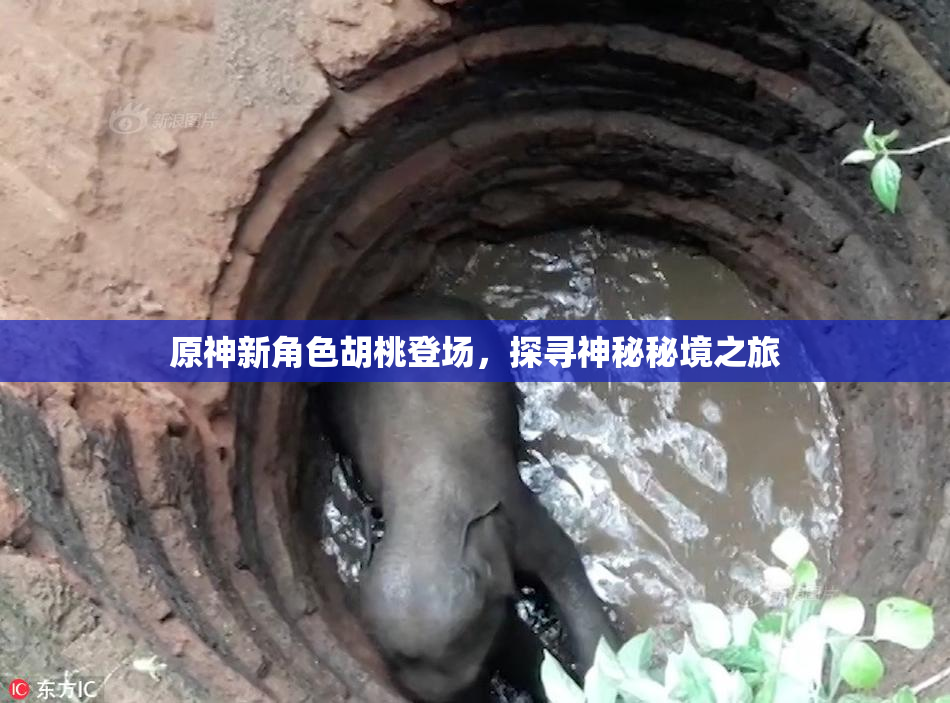 原神新角色胡桃登场，探寻神秘秘境之旅