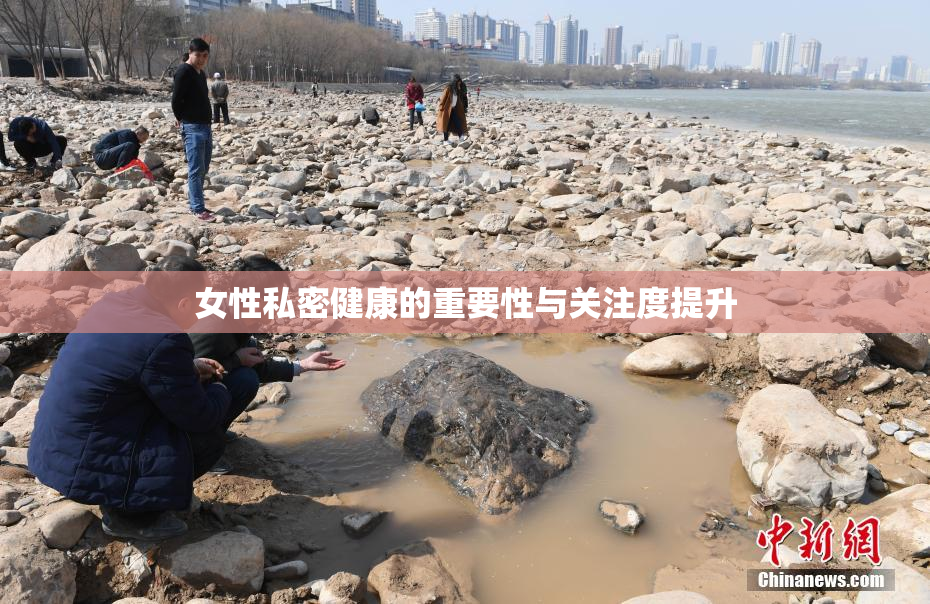 女性私密健康的重要性与关注度提升