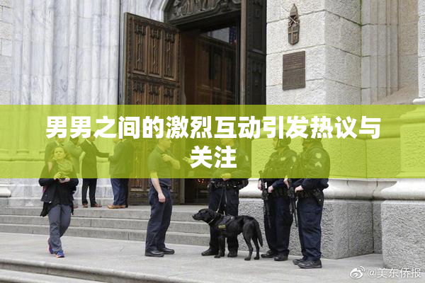 男男之间的激烈互动引发热议与关注