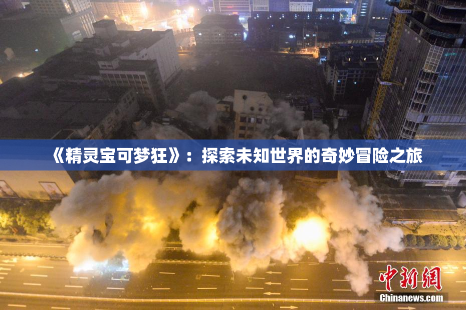 《精灵宝可梦狂》：探索未知世界的奇妙冒险之旅